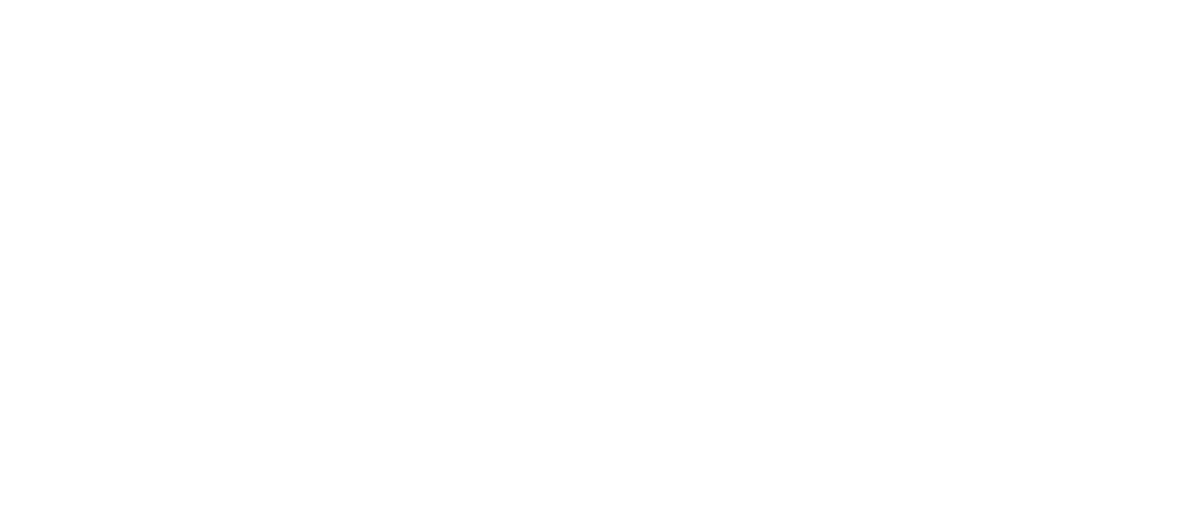 Servnet